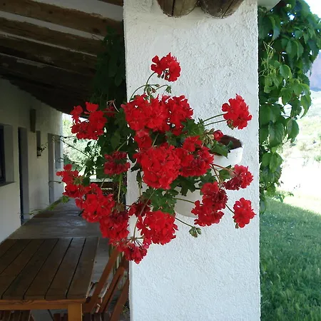 Camping Bungalows Armalygal Murillo de Gallego Room photo